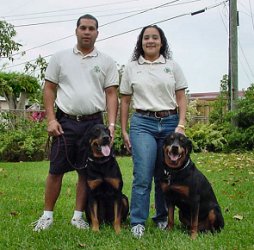 Click for larger view